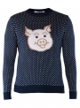 Sweater knitted blue with a pig