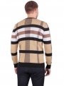 Jumper man's knitted beige striped