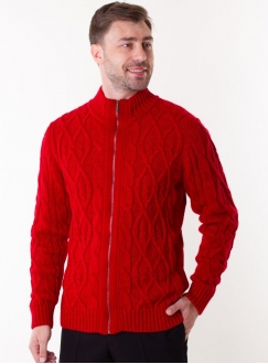 Cardigan male knitted red on lightning